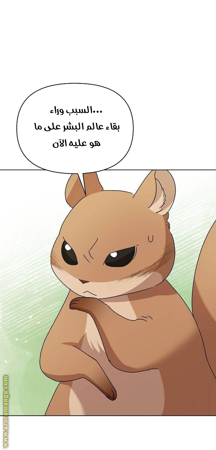 صفحة 19