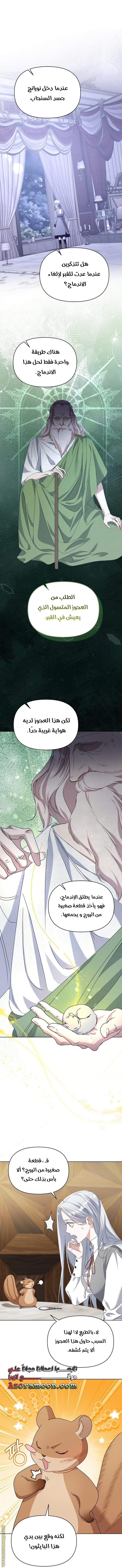 صفحة 41