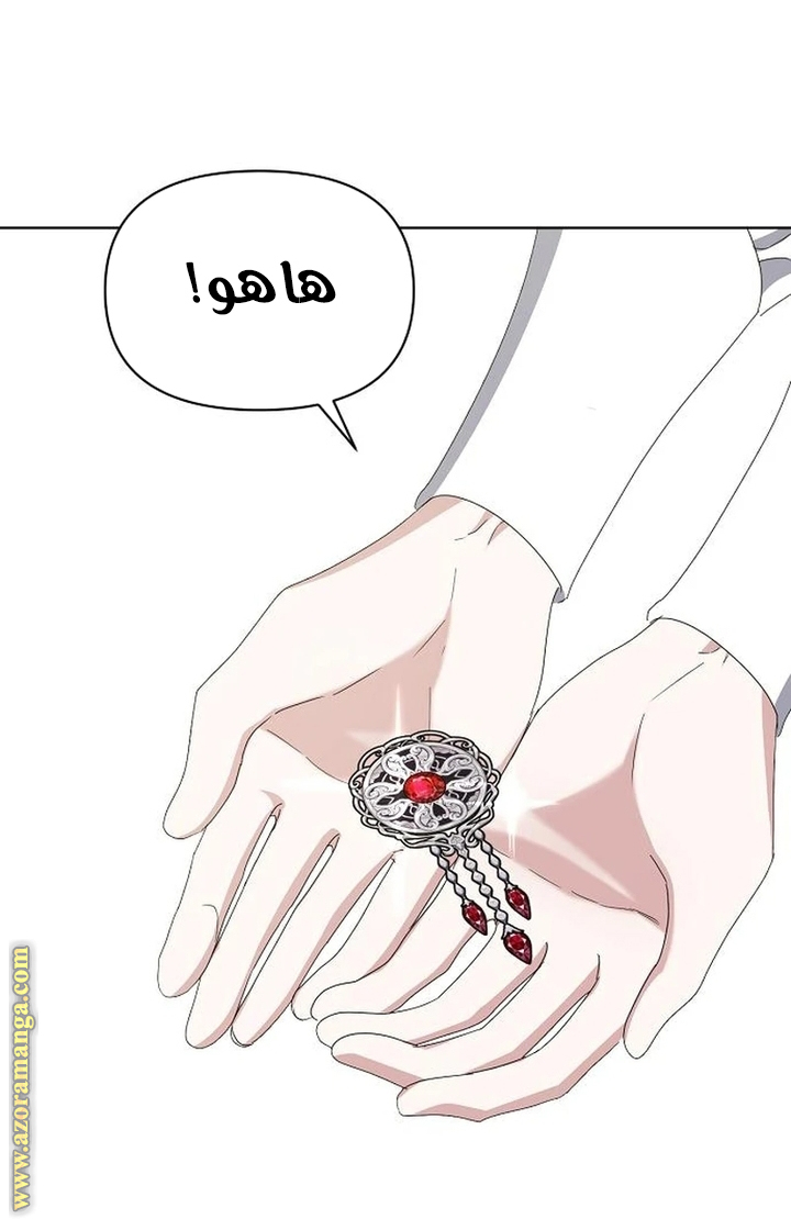 صفحة 42