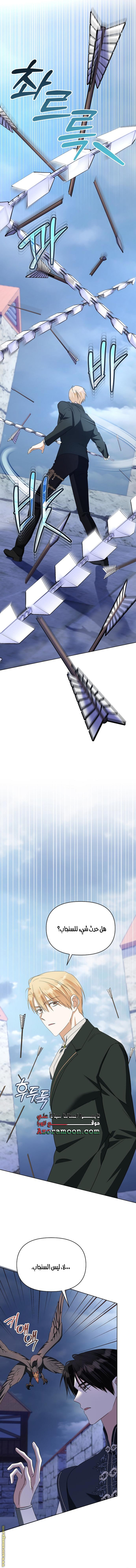 صفحة 11