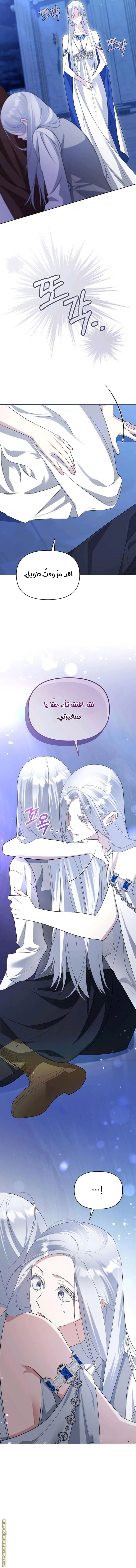 صفحة 11