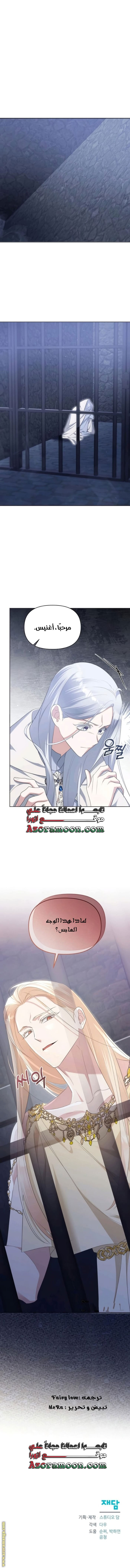 صفحة 17