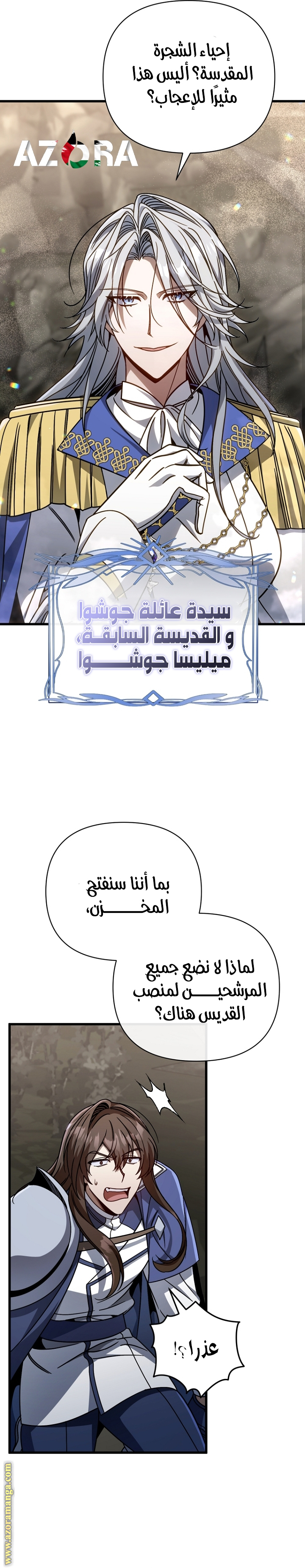 صفحة 17