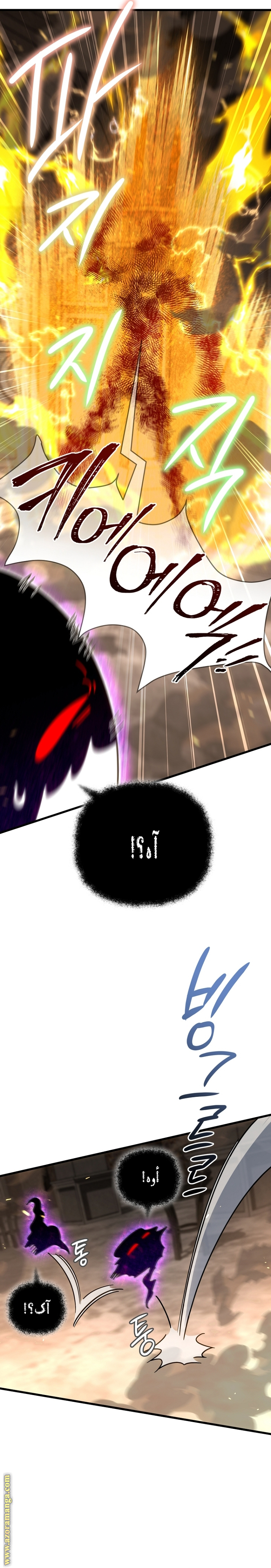 صفحة 17