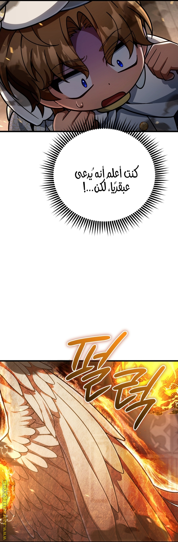 صفحة 19