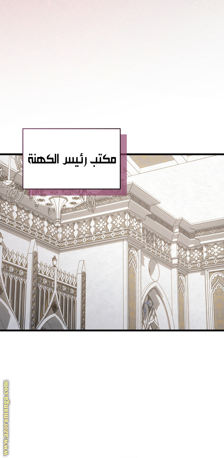 صفحة 42