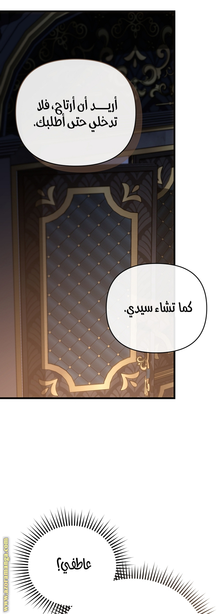 صفحة 13