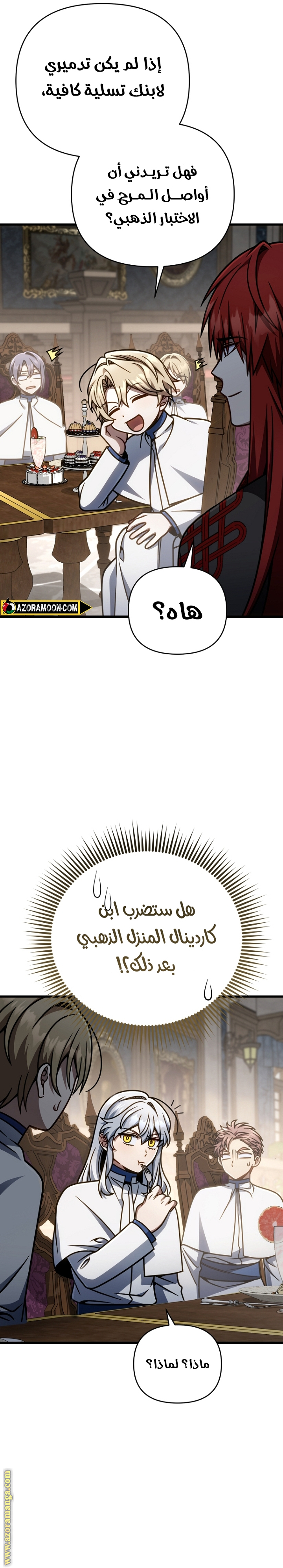 صفحة 17