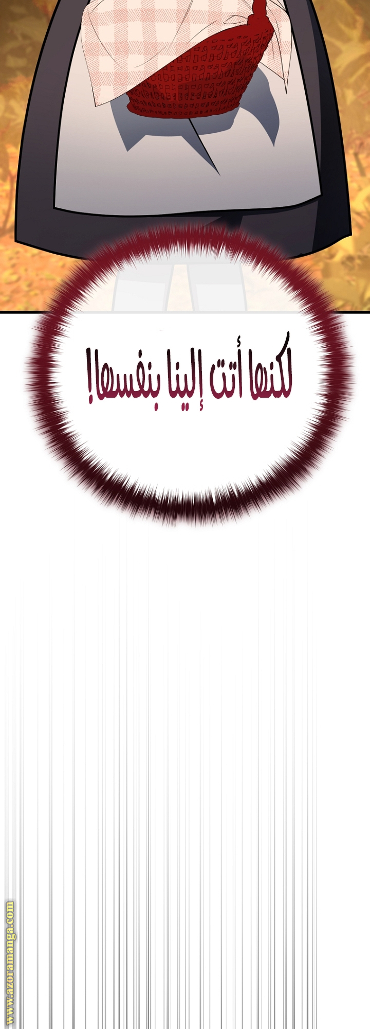 صفحة 29