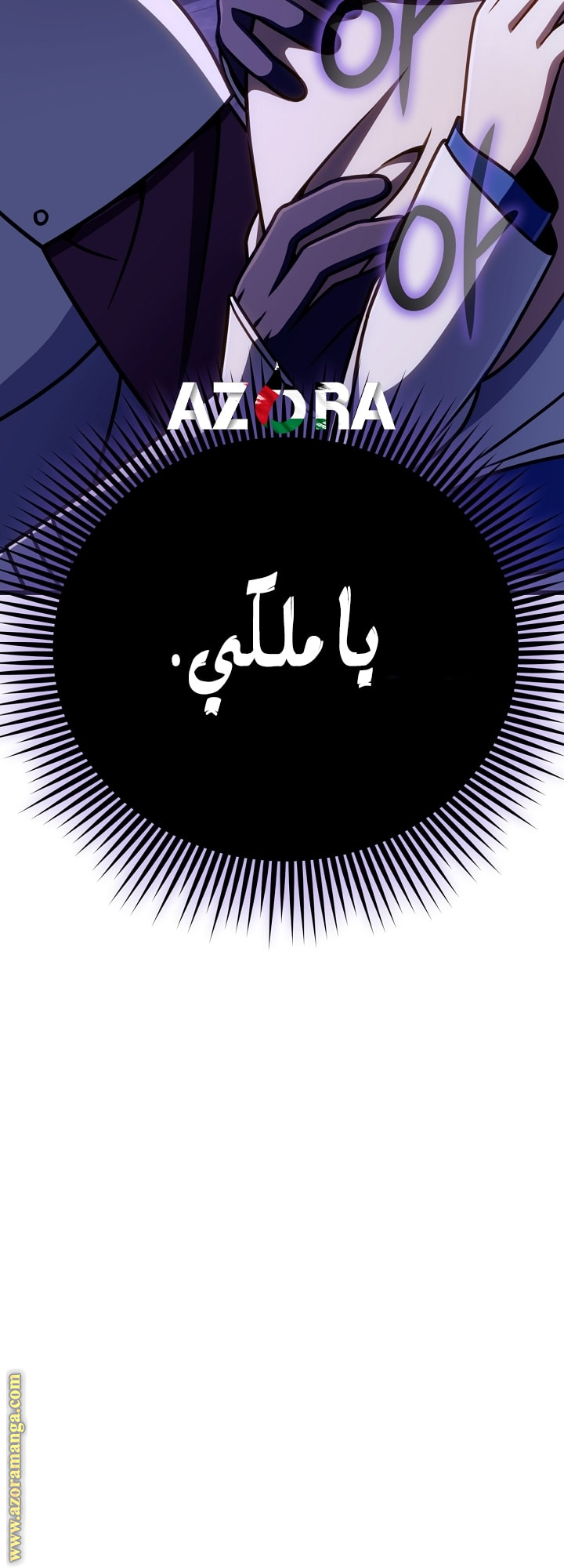 صفحة 17