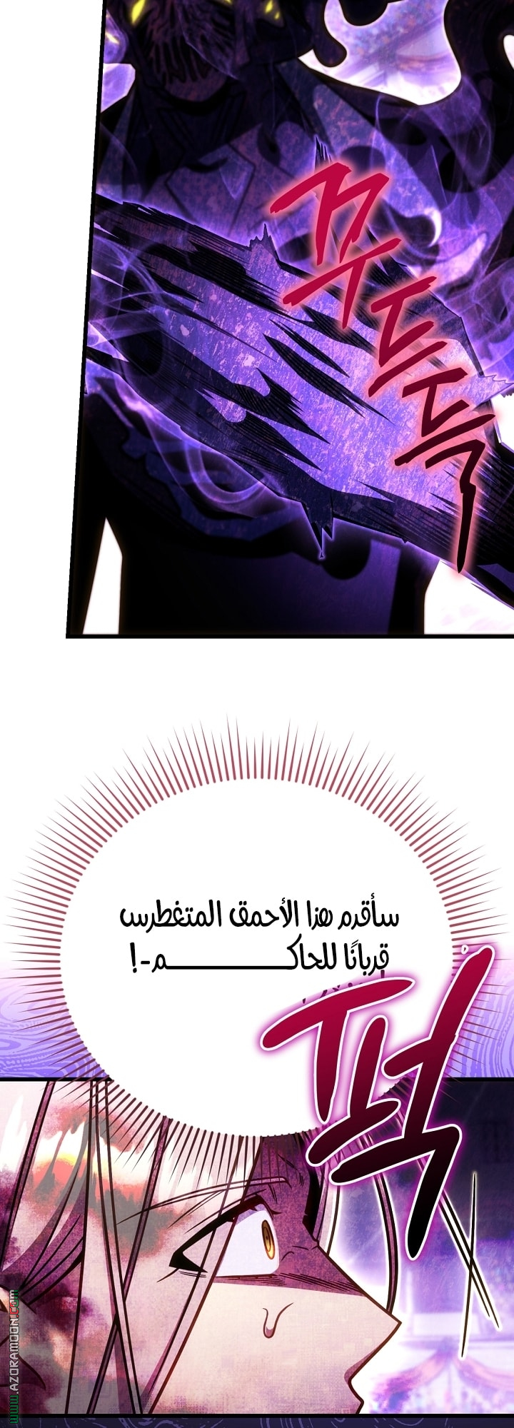 صفحة 13