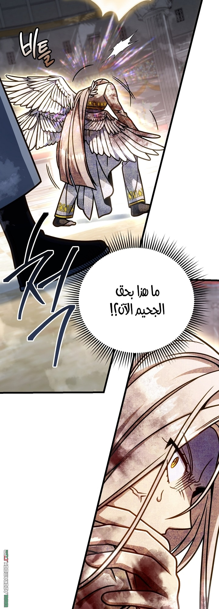 صفحة 29