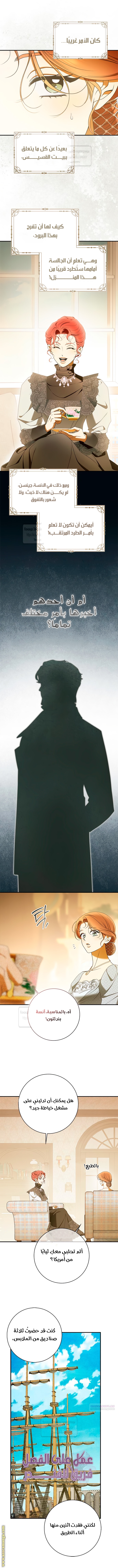 صفحة 11