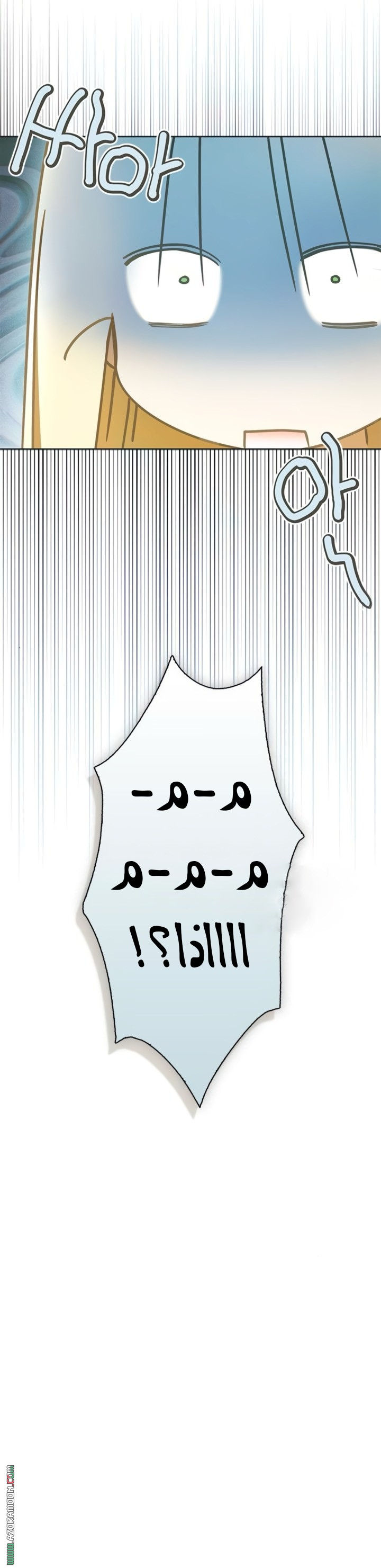 صفحة 13