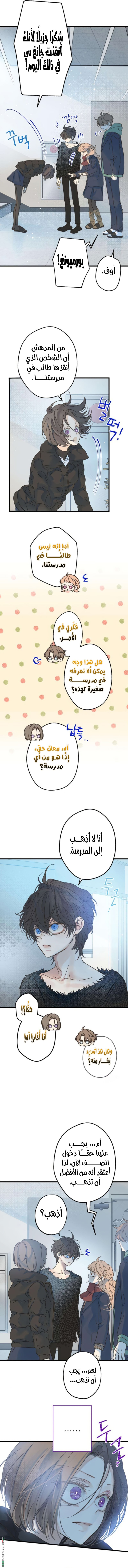 صفحة 12