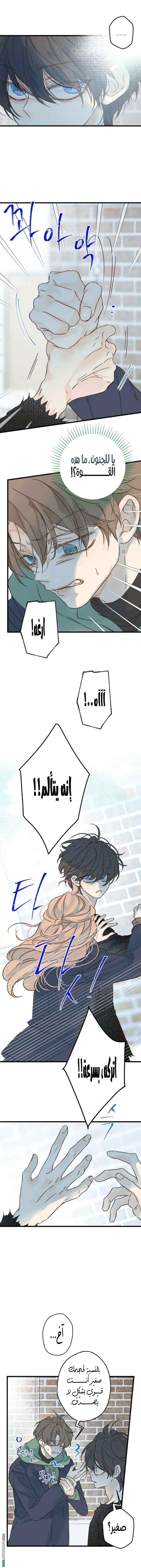 صفحة 4