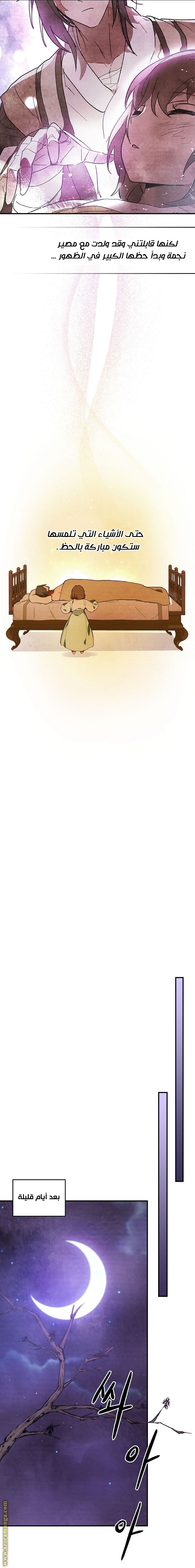 صفحة 14
