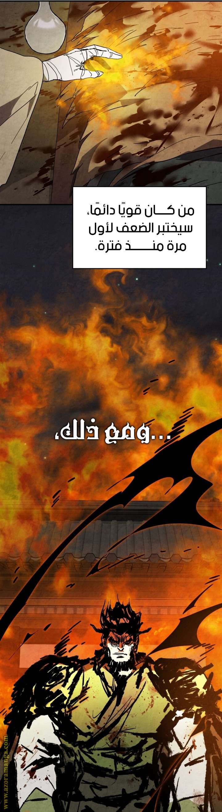 صفحة 17